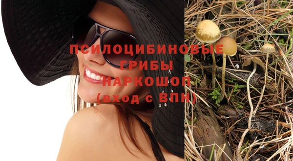 прущий лед Лиски